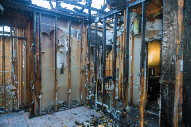 Professional Structural Rebuild technician working in Plum Grove, TX